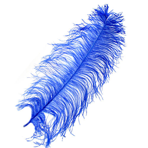 Ostrich Wing Feather 18-24in (1pc)