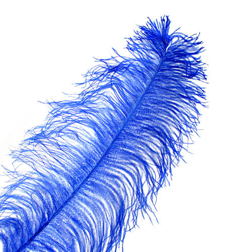 Ostrich Wing Feather 18-24in (1pc) 