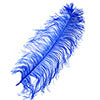 Ostrich Wing Feather 18-24in (1pc) 