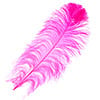 Ostrich Wing Feather 18-24in (1pc) 