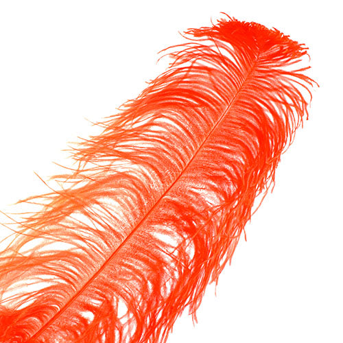 Ostrich Wing Feather 18-24in (1pc) 