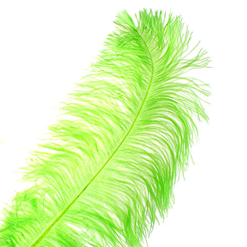 Ostrich Wing Feather 18-24in (1pc) 