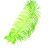Ostrich Wing Feather 18-24in (1pc) 