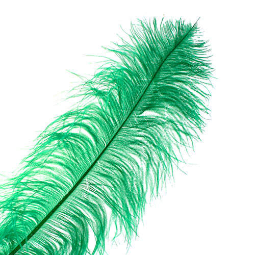 Ostrich Wing Feather 18-24in (1pc) 