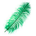 Ostrich Wing Feather 18-24in (1pc) 