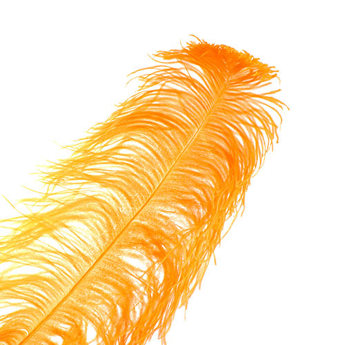 Ostrich Wing Feather 18-24in (1pc) 