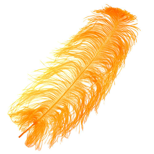Ostrich Wing Feather 18-24in (1pc)