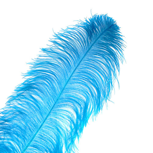 Ostrich Wing Feather 18-24in (1pc) 