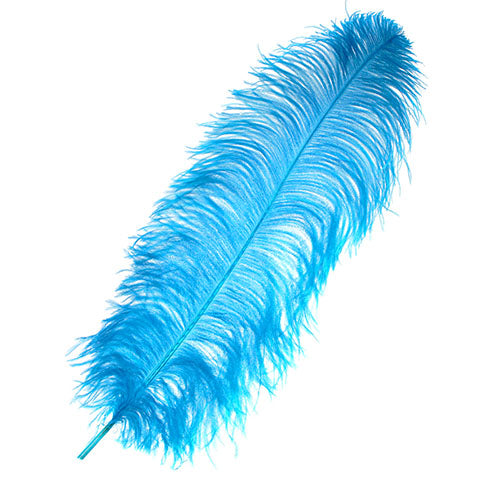 Ostrich Wing Feather 18-24in (1pc)