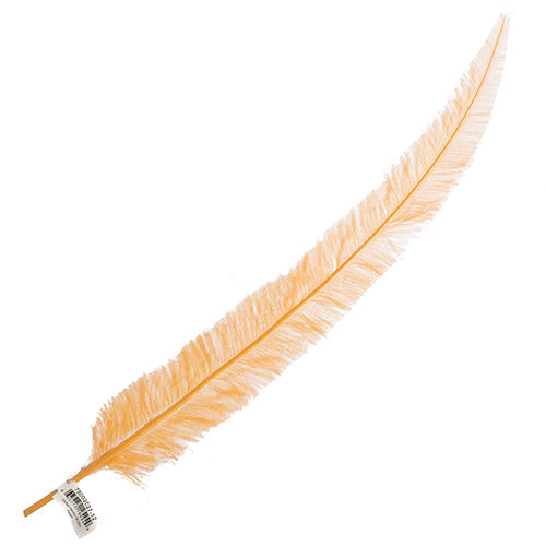 Ostrich Nandu 18-20in (1pc)