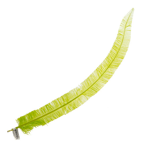 Ostrich Nandu 18-20in (1pc)