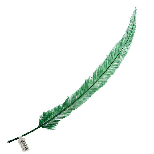 Ostrich Nandu 18-20in (1pc)