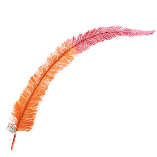 Ostrich Nandu 22-24in Two-Tone