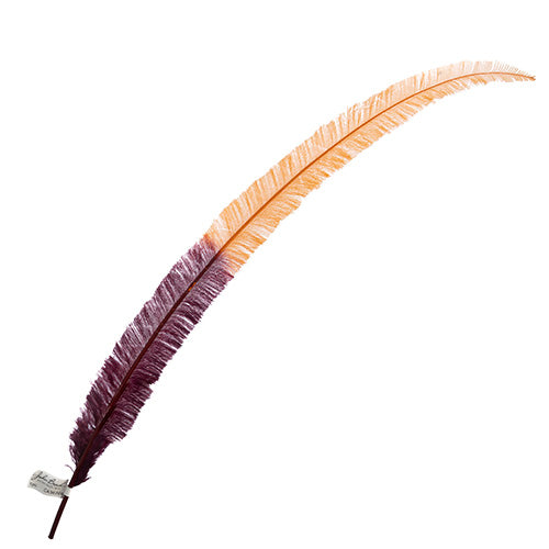 Ostrich Nandu 22-24in Two-Tone