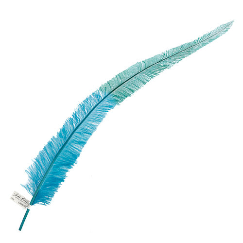 Ostrich Nandu 22-24in Two-Tone