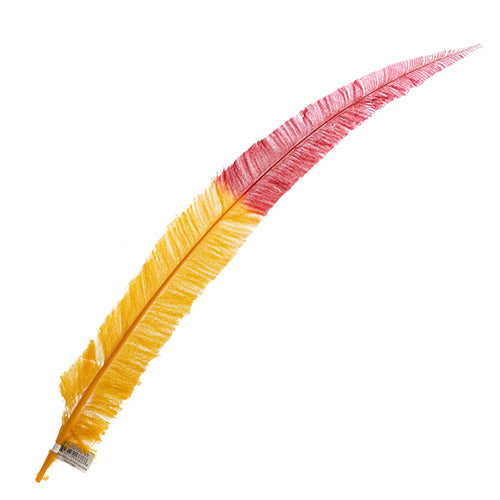 Ostrich Nandu 22-24in Two-Tone