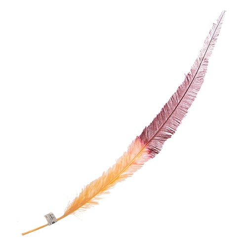 Ostrich Nandu 22-24in Two-Tone