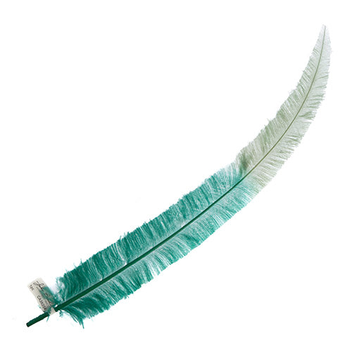 Ostrich Nandu 22-24in Two-Tone