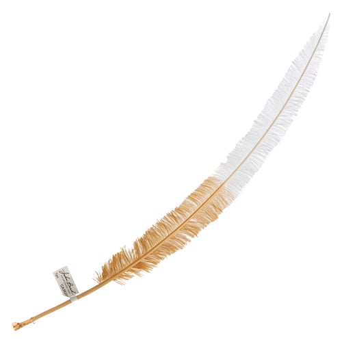 Ostrich Nandu 22-24in Two-Tone