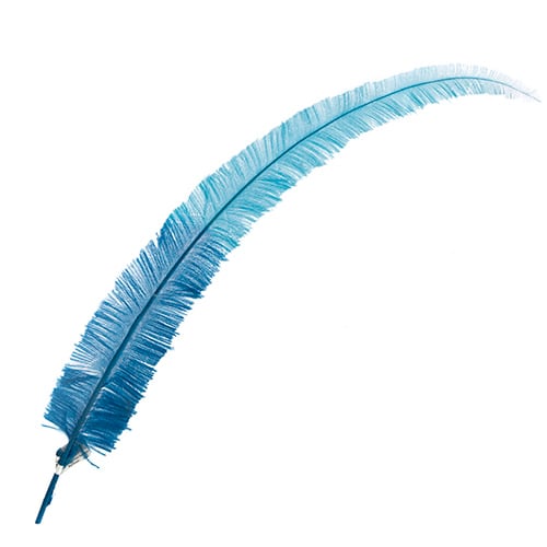 Ostrich Nandu 22-24in Two-Tone