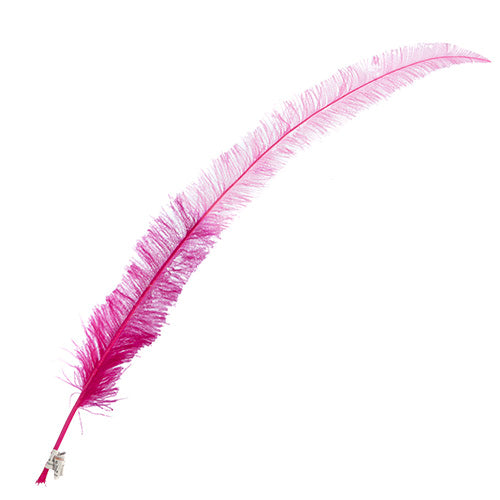 Ostrich Nandu 22-24in Two-Tone