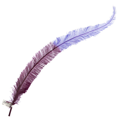 Ostrich Nandu 22-24in Two-Tone