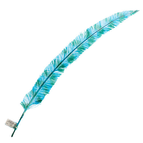 Ostrich Nandu 22-24in Striped