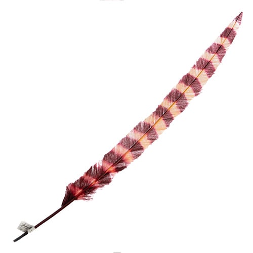 Ostrich Nandu 22-24in Striped