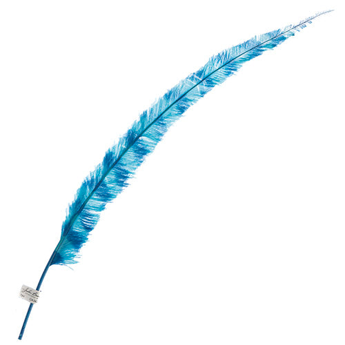 Ostrich Nandu 22-24in Striped