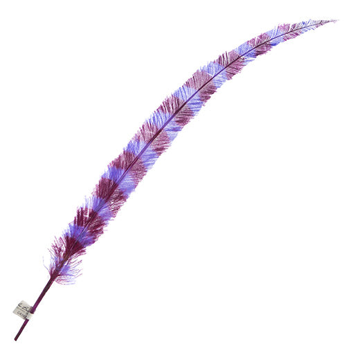 Ostrich Nandu 22-24in Striped