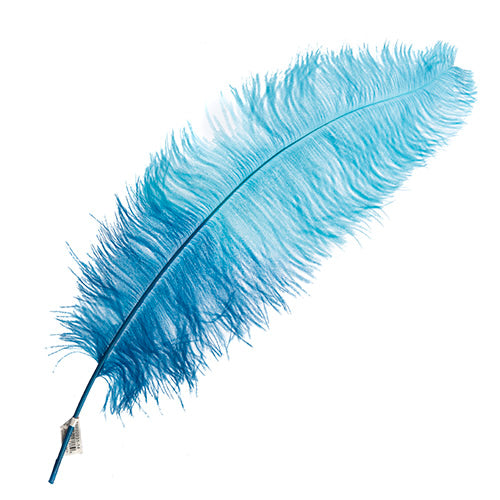 Ostrich Spad 24in+ Two-Tone