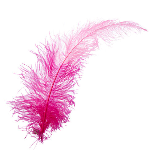 Ostrich Spad 24in+ Two-Tone