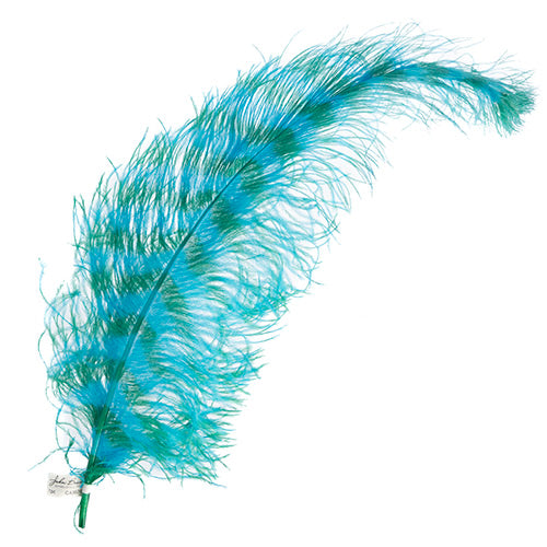 Ostrich Spad 24in+ Striped