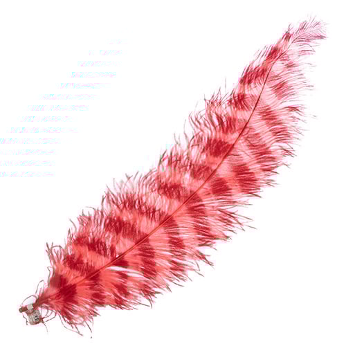 Ostrich Spad 24in+ Striped