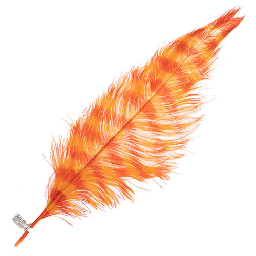 Ostrich Spad 24in+ Striped