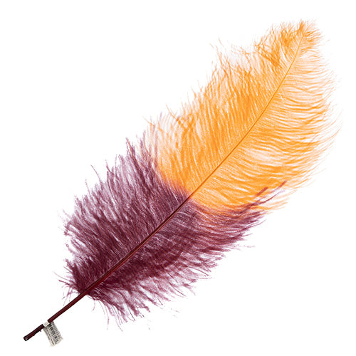 Ostrich Wing 24in+ Two-Tone