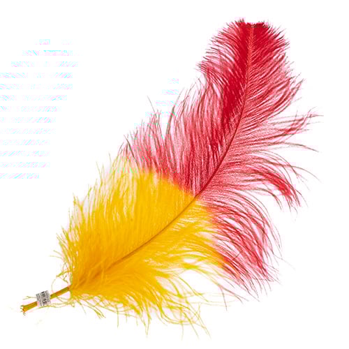 Ostrich Wing 24in+ Two-Tone