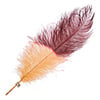 Ostrich Wing 24in+ Two-Tone 