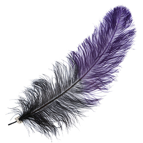 Ostrich Wing 24in+ Two-Tone