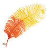 Ostrich Wing 24in+ Two-Tone 