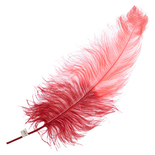 Ostrich Wing 24in+ Two-Tone