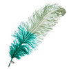 Ostrich Wing 24in+ Two-Tone 