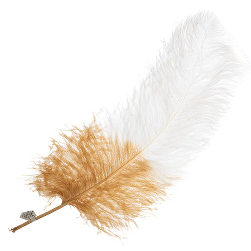 Ostrich Wing 24in+ Two-Tone