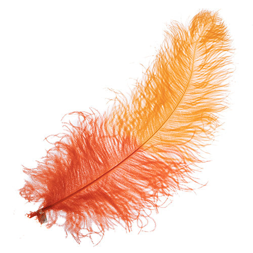 Ostrich Wing 24in+ Two-Tone