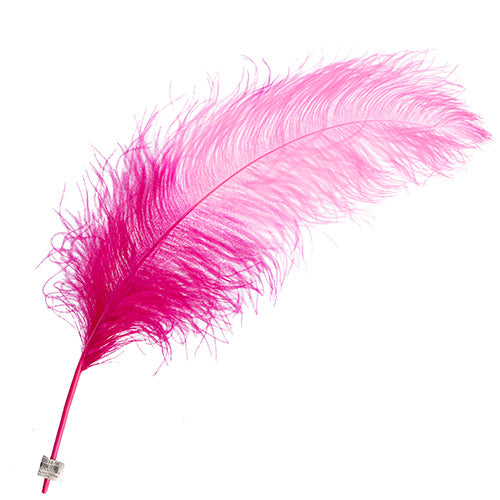 Ostrich Wing 24in+ Two-Tone