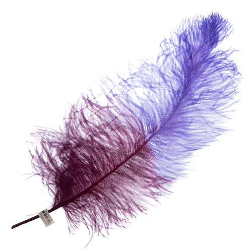 Ostrich Wing 24in+ Two-Tone