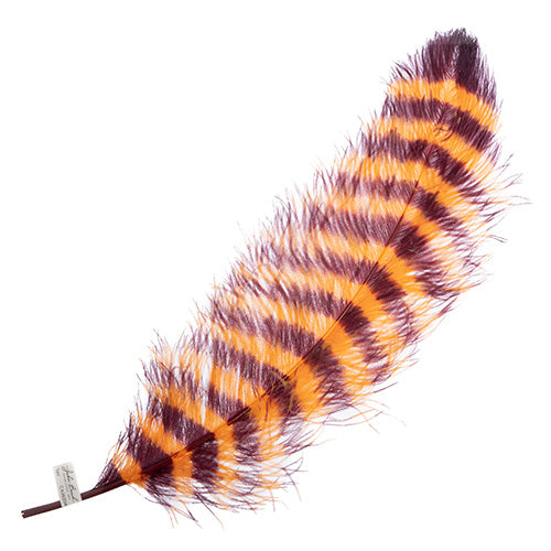 Ostrich Wing 24in+ Striped