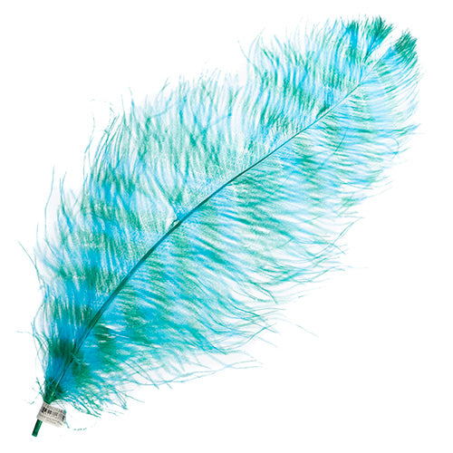 Ostrich Wing 24in+ Striped