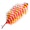 Ostrich Wing 24in+ Striped 