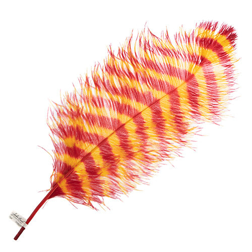Ostrich Wing 24in+ Striped